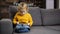 Cute blond toddler boy using touchpad on sofa