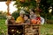 Cute blond toddler child and sibling brothers, standing next to autumn wooden stand with decoration, apples, leaves, mug,