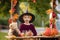 Cute blond toddler child, standing next to autumn wooden stand with decoration, apples, leaves, mug, hedgehock in the park