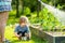 Cute blond toddler with a watering pot outdoors in the garden. Kid helping parents with gardening in the backyard in bright sunny