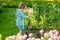 Cute blond toddler with a watering pot outdoors in the garden. Kid helping parents with gardening in the backyard in bright sunny