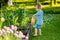 Cute blond toddler with a watering pot outdoors in the garden. Kid helping parents with gardening in the backyard in bright sunny