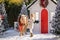 Cute blonde girl and adorable pony with wreath near the small house and snow-covered trees. New Year and Christmas time