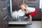 Cute blonde toddler girl helping in the kitchen taking plates out of dish washing machine