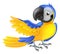 Cute blue and yellow parrot