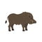 Cute boar on white background.