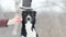 Cute border collie dog portrait