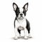 Cute Boston Terrier Dog Illustration In Photorealistic Style