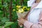 Cute bouquet of flowers and fruits in the hands of a young woman on a background of green foliage