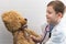 A cute boy of 7 years old in a medical gown with a stethoscope checks the health of a toy bear. Doctor and hospital game