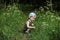 Cute boy in forest looking for berries