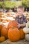 Cute Boy Gathering His Pumpkins at a Pumpkin Patch