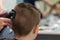 Cute boy have haircut, professional barber doing haircut. Hairdress for children.side view portrait barbershop.Back view