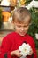 Cute boy holds white rose