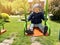 A cute boy of one and a half years rides on a swing. Backyard of the house. Children`s entertainment. Selective focus