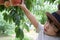 cute boy is picking fruits which are fresh peaches