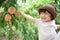 cute boy is picking fruits which are fresh peaches