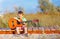 Cute boy playing a guitar on summer field