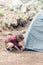 Cute boy setting up tourist tent. Summer travel, camping and hiking concept.