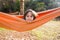 Cute boy is sitting in a hammock