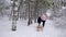 Cute boy in warm clothing walk with his mother pulling wooden vintage sled on snowy winter day. Little guy sledding in