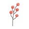 cute branch with leafs decorative icon