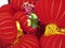Cute bright red lanterns and blossom flower festive decoration for Chinese New Year