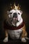 Cute British Bulldog sitting and wearing a Crown