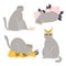 Cute british shorthair cat vector collection 3