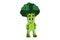 Cute Broccoli Character Design Illustration