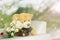 Cute brown bear doll with white flower bouquet in romantic green
