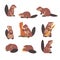 Cute Brown Beavers Set, Wild Rodent Animal in Different Poses Cartoon Vector Illustration