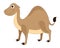 Cute brown camel, illustration