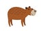 Cute brown capybara icon