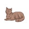 Cute brown cat pet animal lying on the floor hand drawn