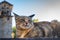 Cute brown cat sitting on the wall of ancient castle in Europe. Proud wild cat on sunny day. Portrait of pretty kitty close up.