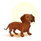 Cute Brown coloured dog amazing vector illustration. Cute cartoon dogs vector puppy pet characters breads doggy illustration