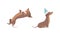 Cute Brown Dachshund Dog in Various Poses Set, Adorable Funny Pet Animal Cartoon Vector Illustration