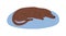 Cute brown Dachshund or sausage dog sleeping on rug. Cute purebred short-legged doggy. Colored flat vector illustration