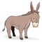 Cute brown donkey in cartoon style over white background, Vector illustration