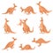 Cute Brown Kangaroo Set, Wallaby Australian Animal Character in Different Poses Vector Illustration