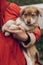 cute brown puppy with amazing blue eyes in woman hands on background of autumn park. space for text. faithful friend concept