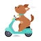Cute Brown Puppy Character Riding Motor Scooter or Motorcycle Vector Illustration