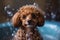 Cute brown or red poodle taking a bath with bath foam and soap bubbles. Generative AI