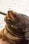 cute brown sealion arches up to show its neck