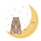 Cute brown sleeping bear. Night sky with stars and moon. Isolated elements on a white background. Vector illustration