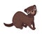 Cute Brown Stoat or Weasel as Carnivore Forest Animal Vector Illustration