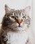 Cute brown striped prideful cat portrait vertical