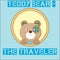 Cute brown Teddy Bear - the traveler on the background