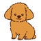 Cute brown Toy Poodle sitting and smiling